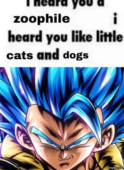 image tagged in i heard you a zoophile | made w/ Imgflip meme maker