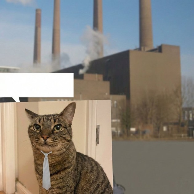 Factory Cat Blank Meme Template