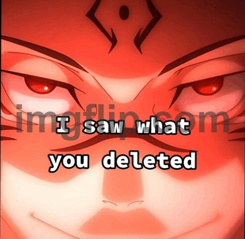 I saw what you deleted | image tagged in i saw what you deleted | made w/ Imgflip meme maker