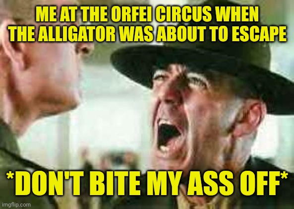 drill sergeant yelling | ME AT THE ORFEI CIRCUS WHEN THE ALLIGATOR WAS ABOUT TO ESCAPE; *DON'T BITE MY ASS OFF* | image tagged in drill sergeant yelling | made w/ Imgflip meme maker