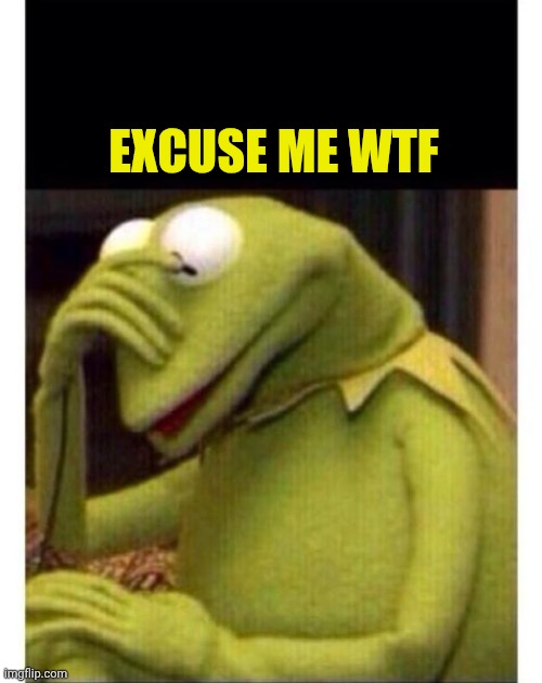 Facepalm frog | EXCUSE ME WTF | image tagged in facepalm frog | made w/ Imgflip meme maker