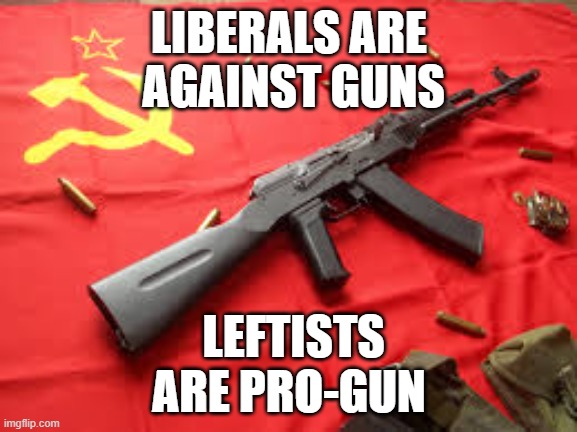 Who will win control of the Democratic Party? | LIBERALS ARE
 AGAINST GUNS; LEFTISTS ARE PRO-GUN | image tagged in democrat | made w/ Imgflip meme maker