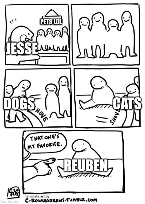 Anyone remember MCSM? | PETS LOL; JESSE; DOGS; CATS; REUBEN | image tagged in minecraft,nostalgia | made w/ Imgflip meme maker