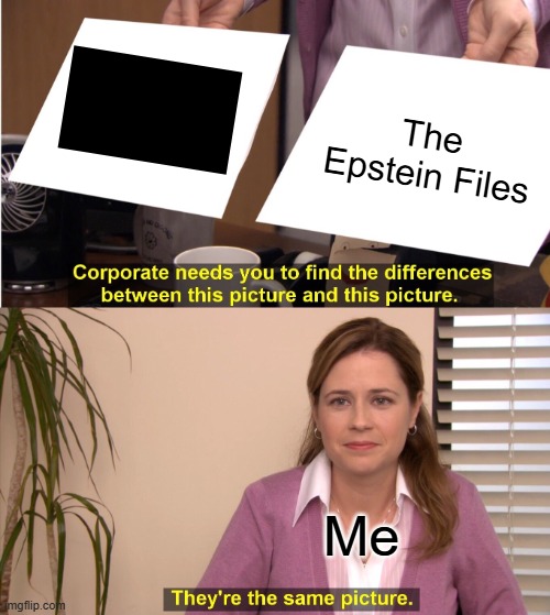 Blank | The Epstein Files; Me | image tagged in memes,they're the same picture,funny memes | made w/ Imgflip meme maker