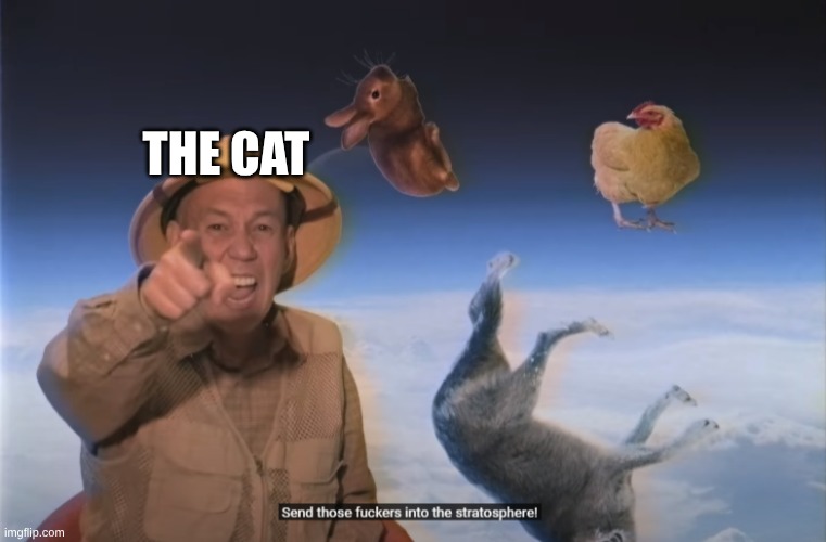 Send Those F**kers into the stratosphere | THE CAT | image tagged in send those f kers into the stratosphere | made w/ Imgflip meme maker