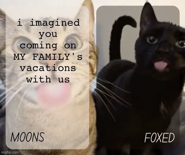 moons and foxed kitty temp | i imagined you coming on MY FAMILY's vacations with us | image tagged in moons and foxed kitty temp | made w/ Imgflip meme maker