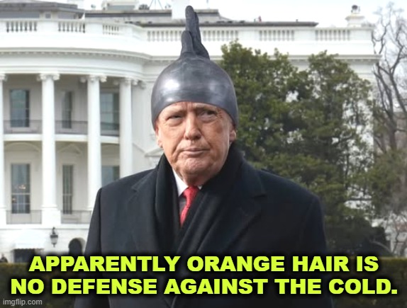 APPARENTLY ORANGE HAIR IS NO DEFENSE AGAINST THE COLD. | image tagged in trump,orange,glove,cold | made w/ Imgflip meme maker