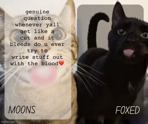 moons and foxed kitty temp | genuine question whenever yall get like a cut and it bleeds do u ever try to write stuff out with the blood💔 | image tagged in moons and foxed kitty temp | made w/ Imgflip meme maker