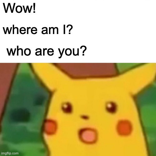 Surprised Pikachu | Wow! where am I? who are you? | image tagged in memes,surprised pikachu | made w/ Imgflip meme maker