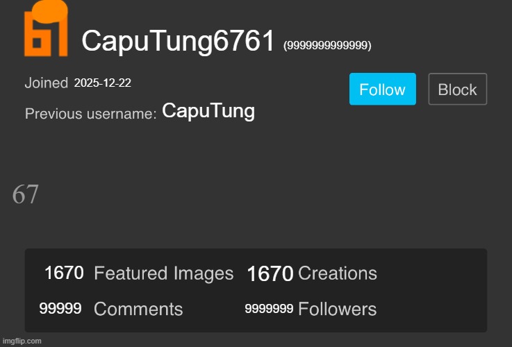 In the future... | CapuTung6761; (9999999999999); 2025-12-22; CapuTung; 67; 1670; 1670; 99999; 9999999 | image tagged in blank imgflip profile v2 | made w/ Imgflip meme maker