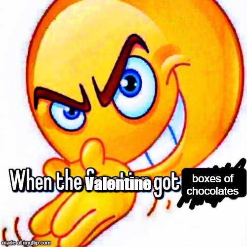 When the function got _____ | boxes of chocolates; Valentine | image tagged in when the function got _____ | made w/ Imgflip meme maker