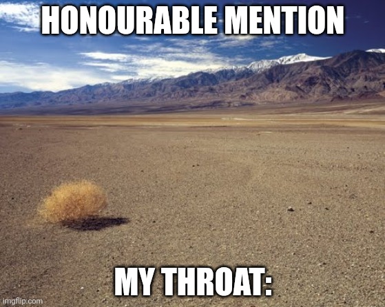 desert tumbleweed | HONOURABLE MENTION MY THROAT: | image tagged in desert tumbleweed | made w/ Imgflip meme maker
