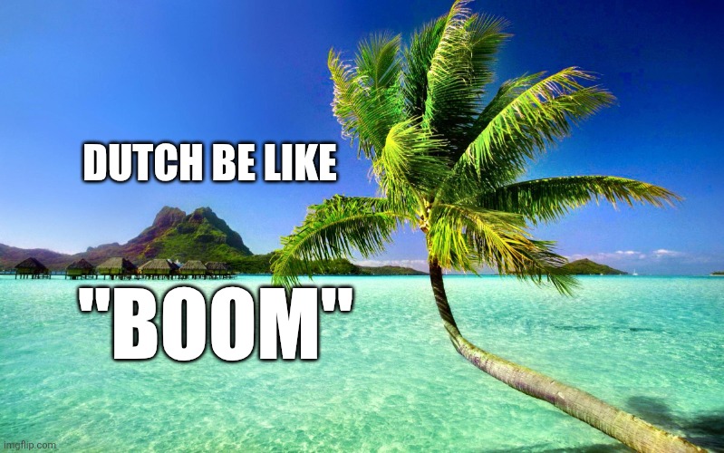Palm Tree  | "BOOM" DUTCH BE LIKE | image tagged in palm tree | made w/ Imgflip meme maker