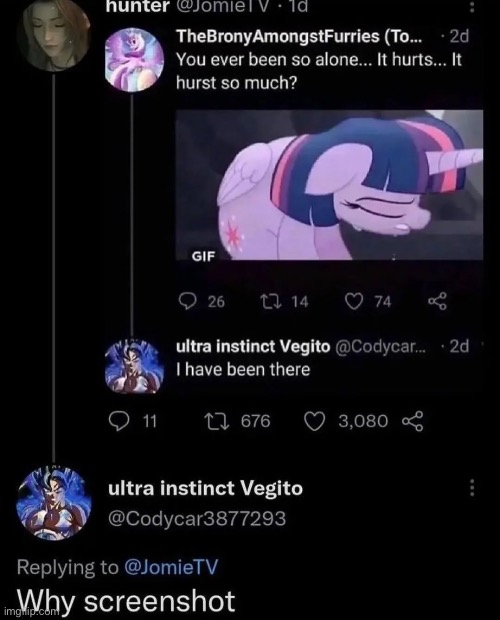 Why screenshot | made w/ Imgflip meme maker