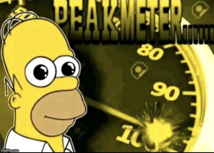 peak meter 100 | image tagged in peak meter 100 | made w/ Imgflip meme maker