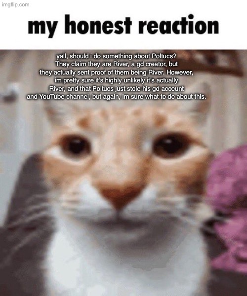 My honest reaction | yall, should i do something about Poltucs? They claim they are River, a gd creator, but they actually sent proof of them being River. However, im pretty sure it’s highly unlikely it’s actually River, and that Poltucs just stole his gd account and YouTube channel, but again, im sure what to do about this. | image tagged in my honest reaction | made w/ Imgflip meme maker