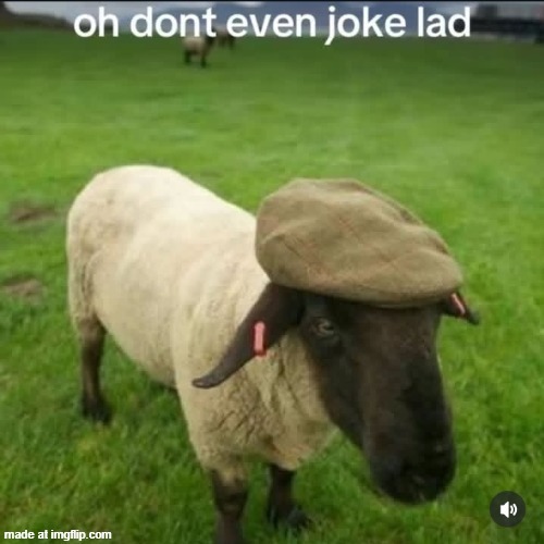 image tagged in oh dont even joke lad | made w/ Imgflip meme maker