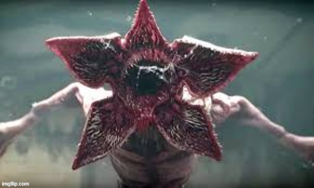 Demogorgon reaction | image tagged in demogorgon reaction | made w/ Imgflip meme maker