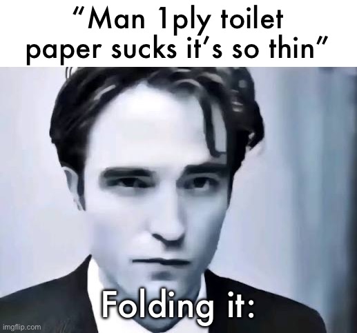 Man I wish someone named garry would make a mod | “Man 1ply toilet paper sucks it’s so thin”; Folding it: | image tagged in man i wish someone named garry would make a mod | made w/ Imgflip meme maker