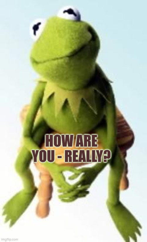 How are you - really? | HOW ARE YOU - REALLY? | image tagged in concerned kermit,concern,autism,wellbeing,communication,management | made w/ Imgflip meme maker