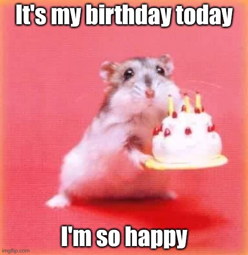 Birthday | It's my birthday today; I'm so happy | image tagged in birthday hamster | made w/ Imgflip meme maker
