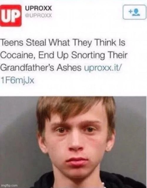 image tagged in lol | made w/ Imgflip meme maker