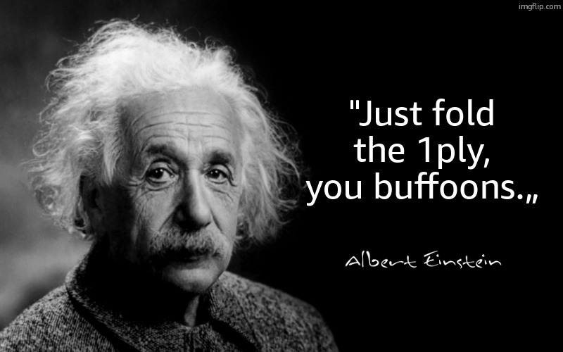 Albert Einstein | "Just fold the 1ply, you buffoons.„ | image tagged in albert einstein | made w/ Imgflip meme maker