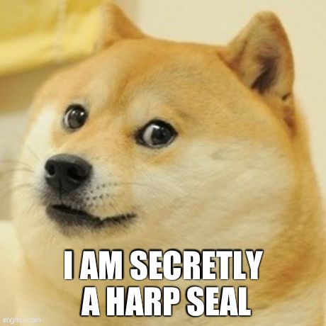 Doge | I AM SECRETLY A HARP SEAL | image tagged in memes,doge | made w/ Imgflip meme maker
