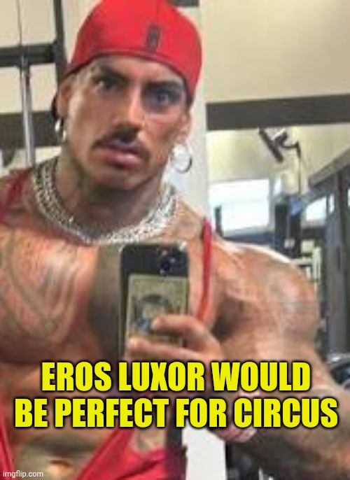 Eros Luxor | EROS LUXOR WOULD BE PERFECT FOR CIRCUS | image tagged in eros luxor | made w/ Imgflip meme maker