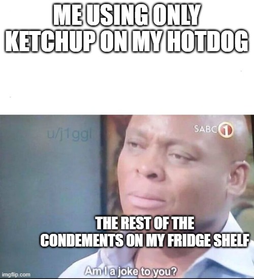 tbh ketchup is the best. prove me wrong | ME USING ONLY KETCHUP ON MY HOTDOG; THE REST OF THE CONDEMENTS ON MY FRIDGE SHELF | image tagged in am i a joke to you | made w/ Imgflip meme maker