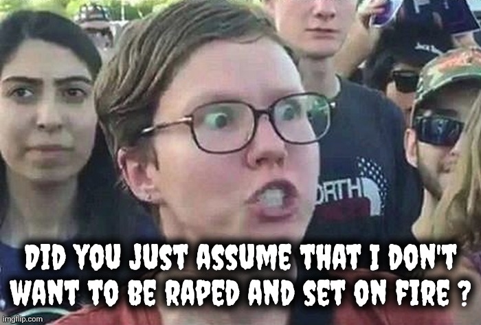 Triggered Liberal | Did you just assume that I don't
want to be raped and set on fire ? | image tagged in triggered liberal | made w/ Imgflip meme maker