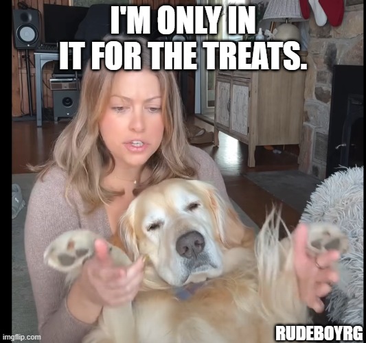 Resigned Dog - In It For the Treats | I'M ONLY IN IT FOR THE TREATS. RUDEBOYRG | image tagged in resigned dog | made w/ Imgflip meme maker