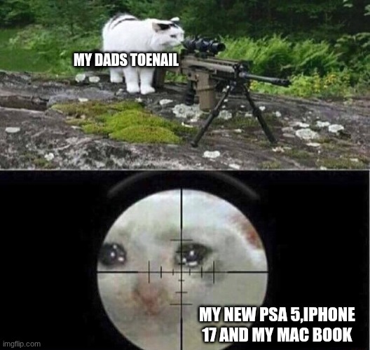 hmmmmmmmmmmmmm | MY DADS TOENAIL; MY NEW PSA 5,IPHONE 17 AND MY MAC BOOK | image tagged in sniper cat,nooooooooo | made w/ Imgflip meme maker