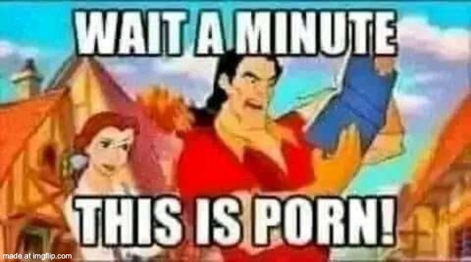 Wait a minute! This is porn! | image tagged in wait a minute this is porn | made w/ Imgflip meme maker
