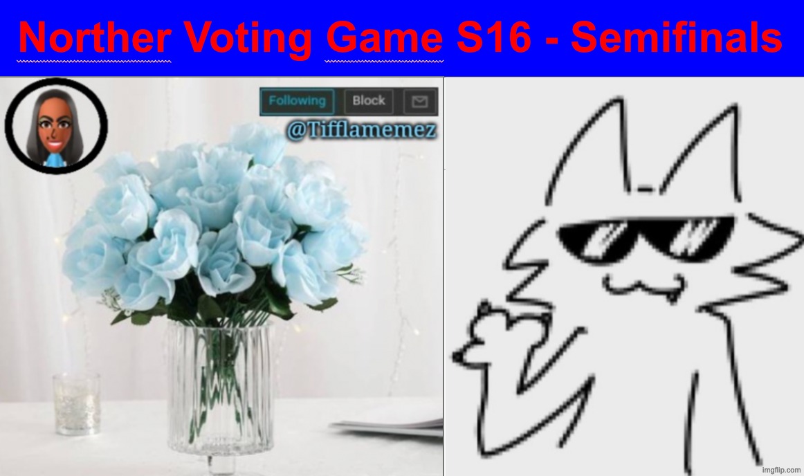 Tiffla vs Potassium, who should be in the finale | image tagged in voting game s16 | made w/ Imgflip meme maker