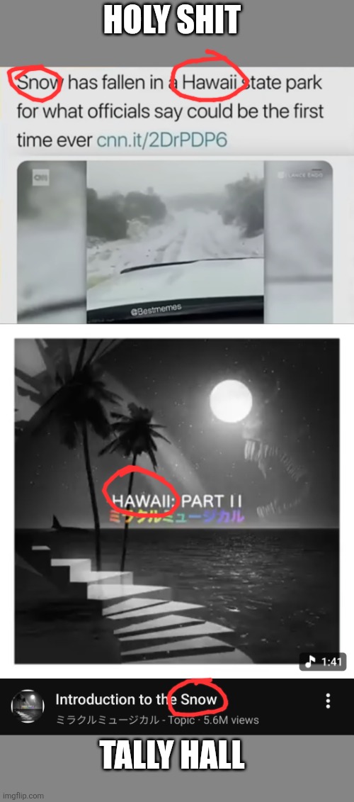 HOLY SHIT; TALLY HALL | image tagged in image tags,tally hall,tags,fuck you | made w/ Imgflip meme maker