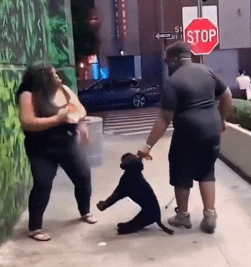 shadow RELAX Blank Meme Template