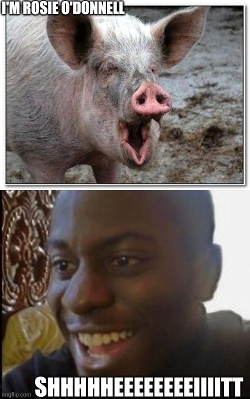 I'M ROSIE O'DONNELL; SHHHHHEEEEEEEEIIIITT | image tagged in pig,disappointed black guy | made w/ Imgflip meme maker