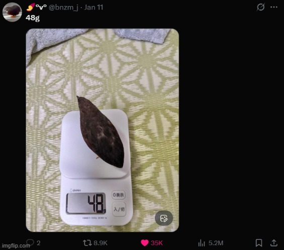 48g | image tagged in birb,48g | made w/ Imgflip meme maker