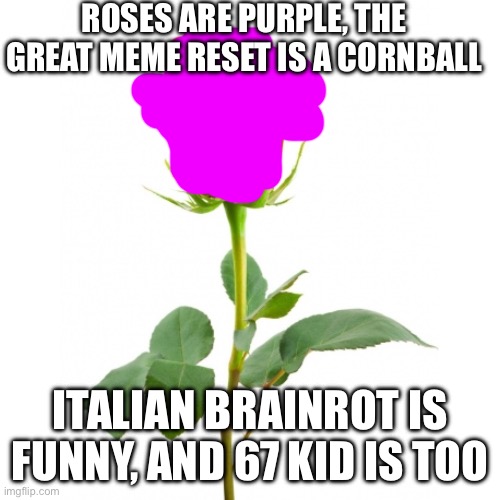 Roses Are Red | ROSES ARE PURPLE, THE GREAT MEME RESET IS A CORNBALL; ITALIAN BRAINROT IS FUNNY, AND 67 KID IS TOO | image tagged in roses are red | made w/ Imgflip meme maker
