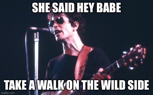 All Lou Reed is Love (da da na na na....) | SHE SAID HEY BABE TAKE A WALK ON THE WILD SIDE | image tagged in all lou reed is love da da na na na | made w/ Imgflip meme maker