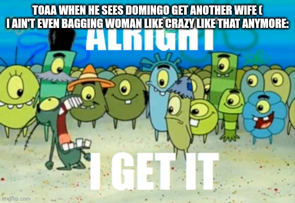 Alright I get It | TOAA WHEN HE SEES DOMINGO GET ANOTHER WIFE ( I AIN'T EVEN BAGGING WOMAN LIKE CRAZY LIKE THAT ANYMORE: | image tagged in alright i get it | made w/ Imgflip meme maker