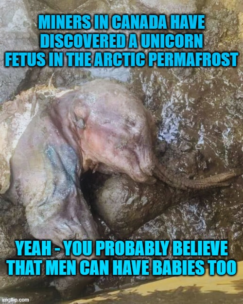 Unicorn discovery | MINERS IN CANADA HAVE DISCOVERED A UNICORN FETUS IN THE ARCTIC PERMAFROST; YEAH - YOU PROBABLY BELIEVE THAT MEN CAN HAVE BABIES TOO | image tagged in baby unicorn | made w/ Imgflip meme maker