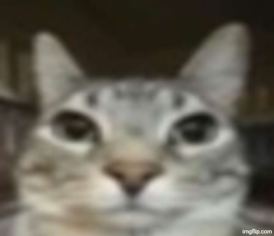 Really bro | image tagged in really bro | made w/ Imgflip meme maker