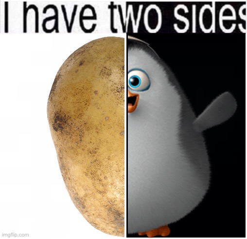 Potato private | image tagged in i have two sides | made w/ Imgflip meme maker