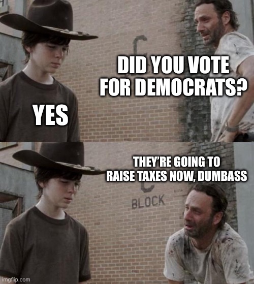 Raising Taxes | DID YOU VOTE FOR DEMOCRATS? YES; THEY’RE GOING TO RAISE TAXES NOW, DUMBASS | image tagged in memes,rick and carl,taxes,income taxes,democrats,politics | made w/ Imgflip meme maker