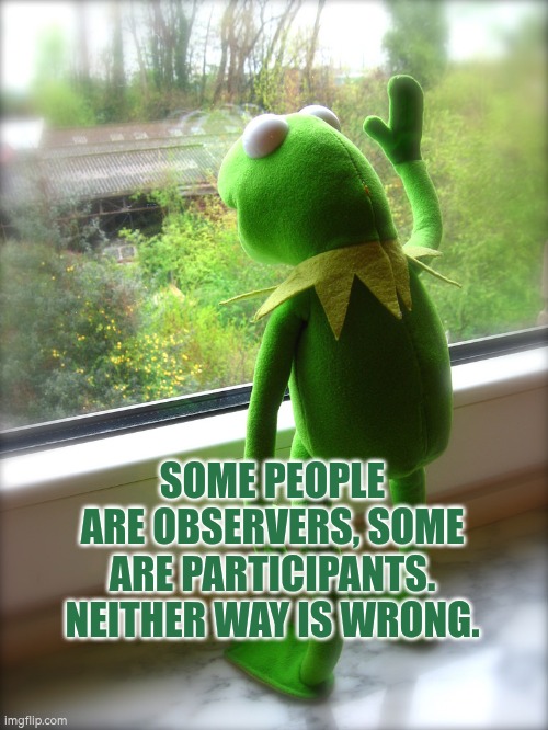 Some people are observers, some are participants. Neither way is wrong. | SOME PEOPLE ARE OBSERVERS, SOME ARE PARTICIPANTS.
NEITHER WAY IS WRONG. | image tagged in kermit - out the window - waiting,autism,observation,participation,learning | made w/ Imgflip meme maker