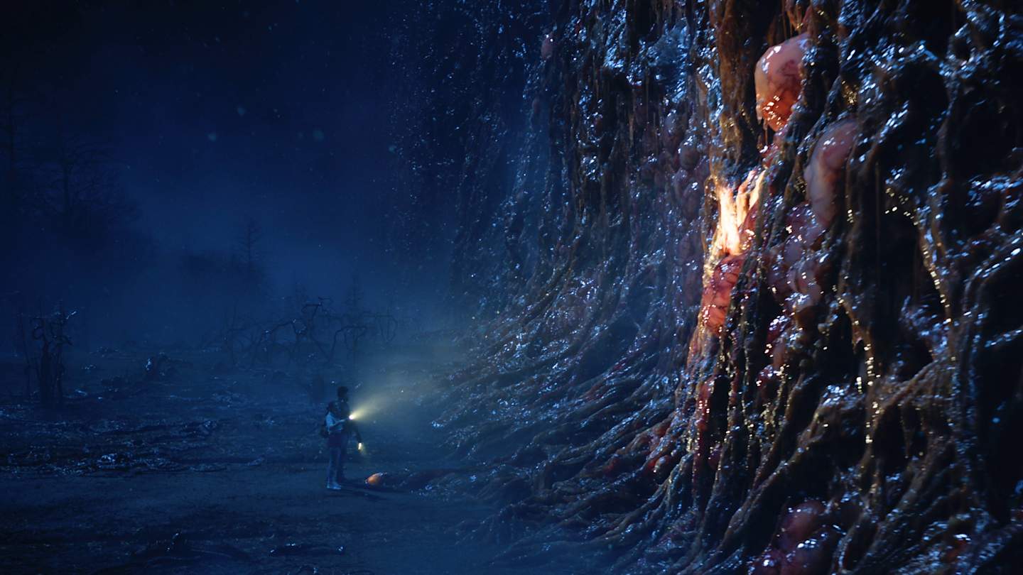 stranger things wall Blank Meme Template