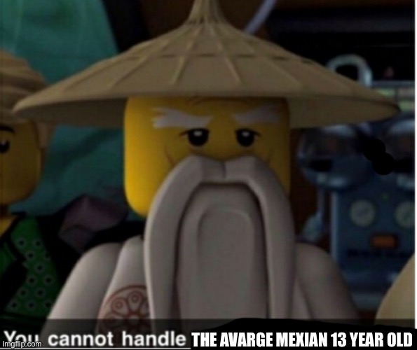 You cannot handle the power of Spinjitzu | THE AVARGE MEXIAN 13 YEAR OLD | image tagged in you cannot handle the power of spinjitzu | made w/ Imgflip meme maker