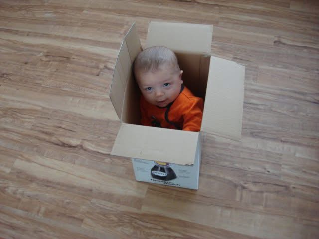 Bob Blank Meme Template